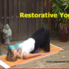 Yoga Nidra with Vicki